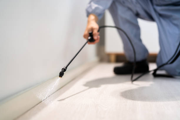 Licensed Termite Control service in Clinton, IL - Nex Pest Control