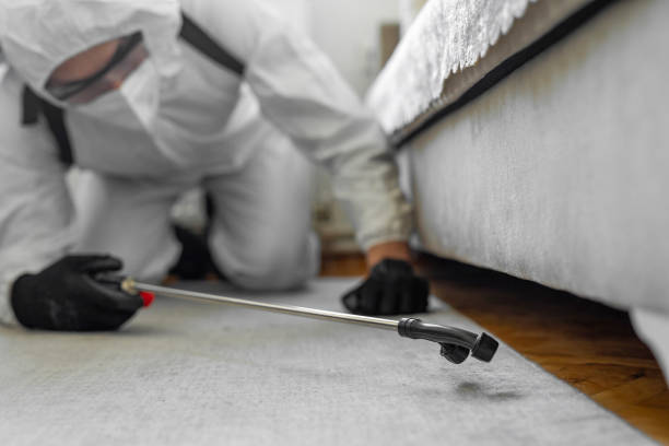 Professional Termite Control technician working in Clinton, IL
