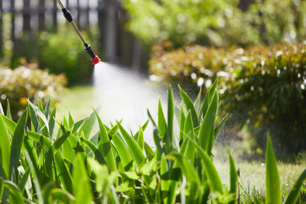 24/7 Emergency Termite Control experts in Clinton, IL