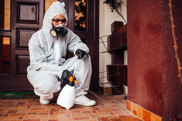 Reliable Termite Control contractor in Clinton, IL by Nex Pest Control