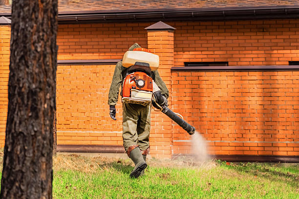 Top rated local Termite Control specialists in Clinton, IL